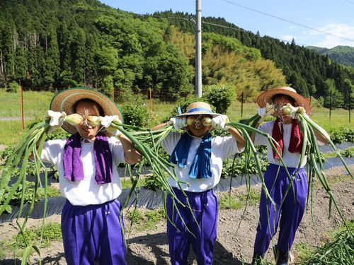 修学旅行の民泊受け入れ(農業体験)
