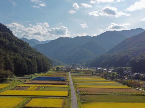 川島地区の里山の風景。