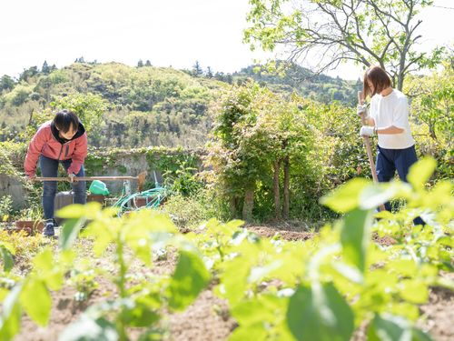 第一次産業現場で働く島体験生の様子