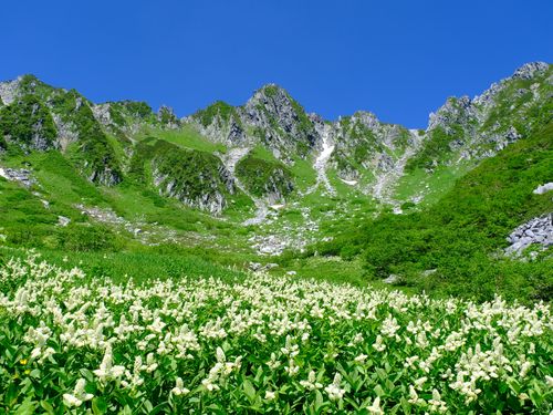 夏の千畳敷カール