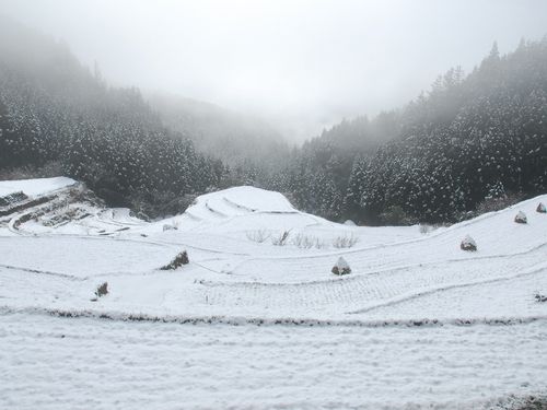 棚田の雪化粧が見れるのは住んでいる人の特権です