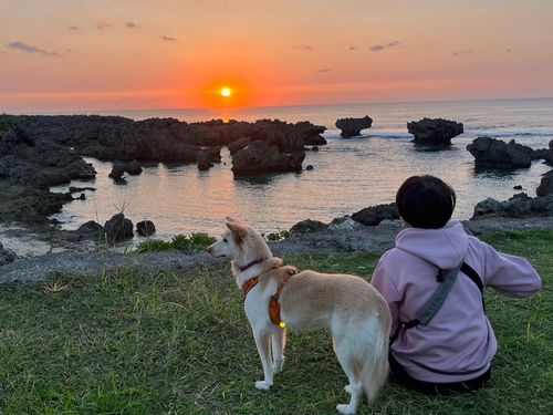 愛犬・ラー子とサンセットを鑑賞
