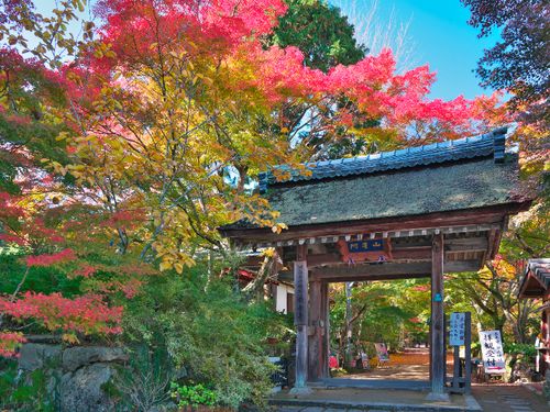 歴史的建造物も全国でトップクラスにあります。