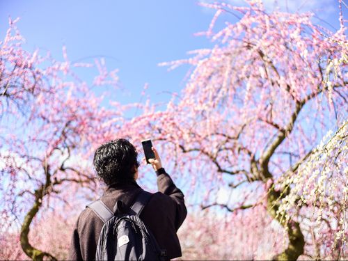 活動する地域おこし協力隊