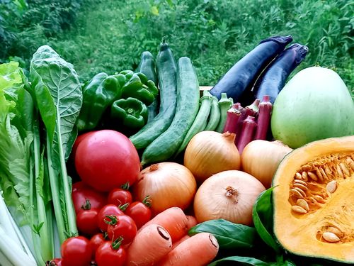 自然の恵みをたっぷり受けた新鮮な野菜もお楽しみください。