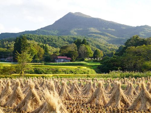 里山の風景