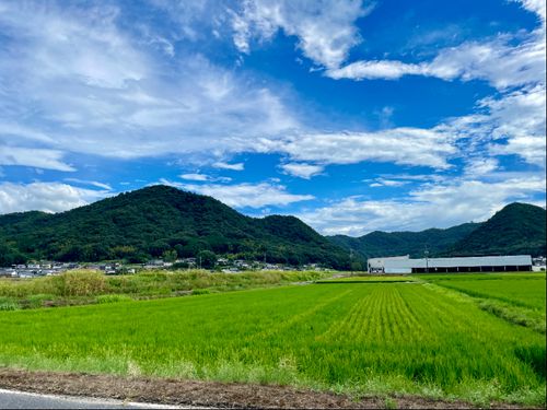 美しい田園風景が広がる。地域全体が教材。						