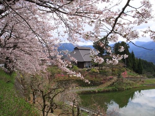 立石地区の景観