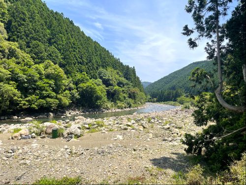 アユが有名な清流野根川
