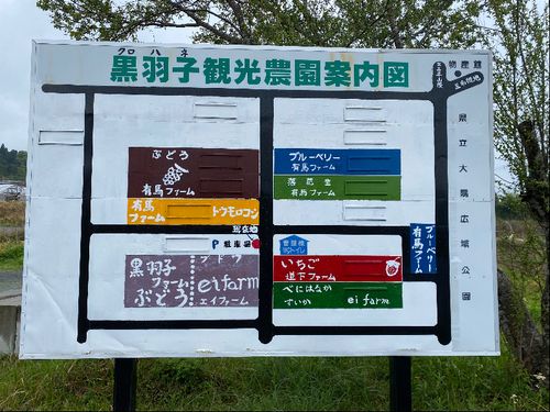 観光農園案内図