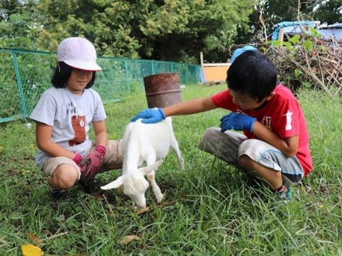 自然や動物とともに暮らす日々