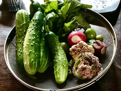豊かで新鮮な食材、子どもの野菜嫌いが治った、という声も!