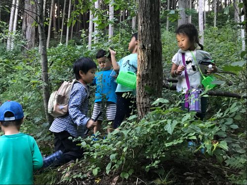 山もすぐそこ!虫だって取り放題です🐞