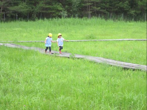 豊かな自然のなかでICTを活用した学びが展開されています