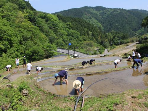 檮原高校(総合探究千枚田)