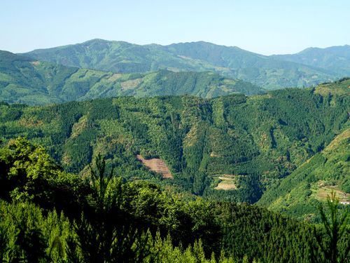 「モザイク林相」と呼ばれるパッチワークのような山模様