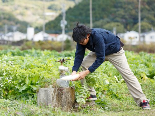 ~海の地域でも農業は盛んです~ お米、野菜、果樹もあります!