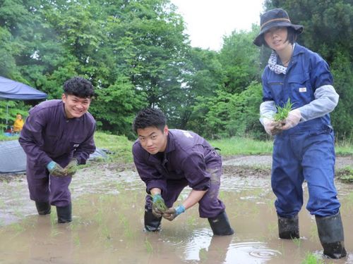 田植えをする古屋選手・諏訪間選手・協力隊スタッフ