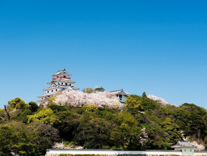 唐津市