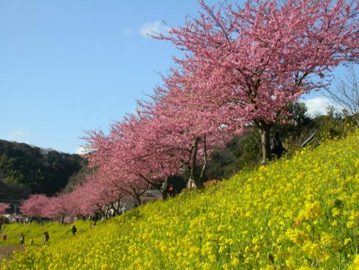 南伊豆町