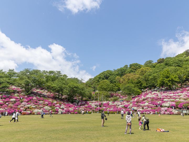 鯖江市