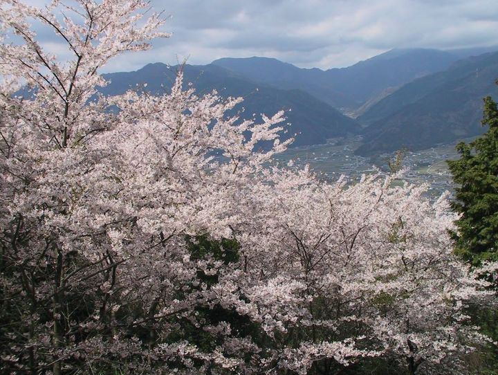 東温市
