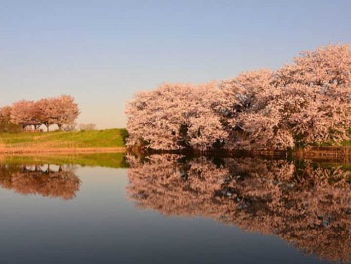 群馬県全体