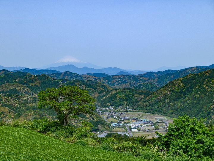 藤枝市