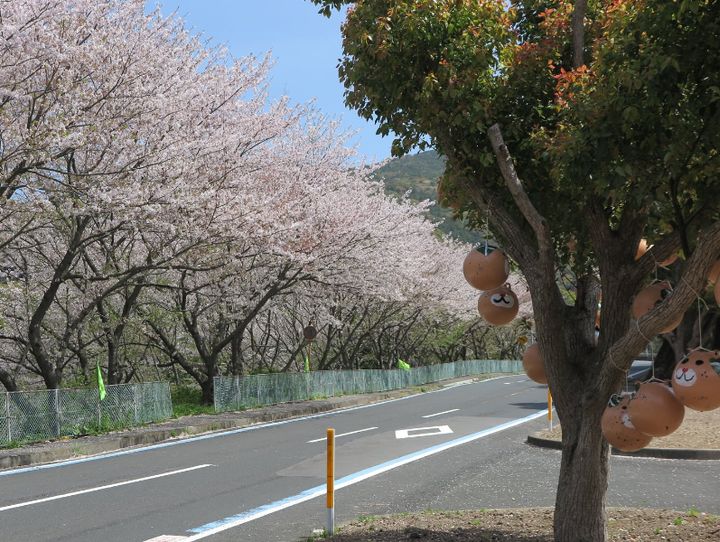 伊方町