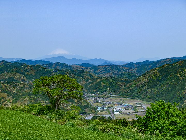 藤枝市