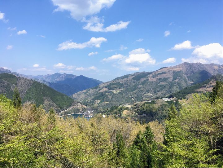 椎葉村