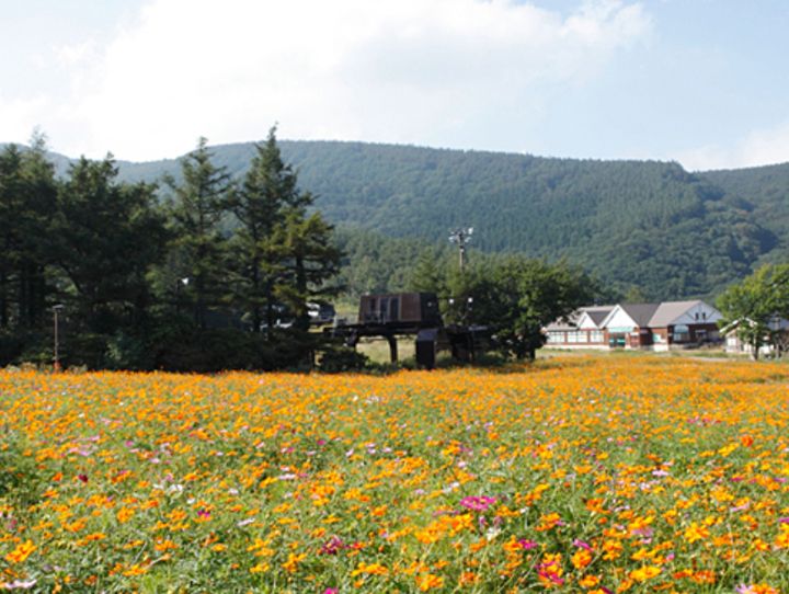 二本松市