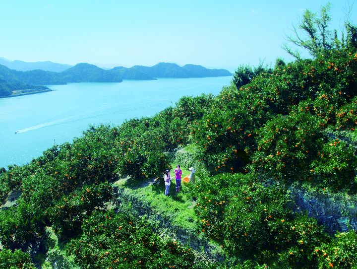 愛媛県全体