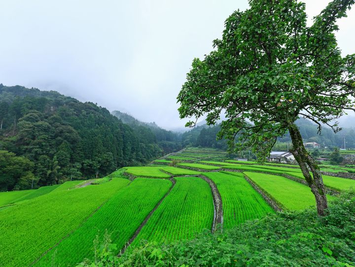 東峰村