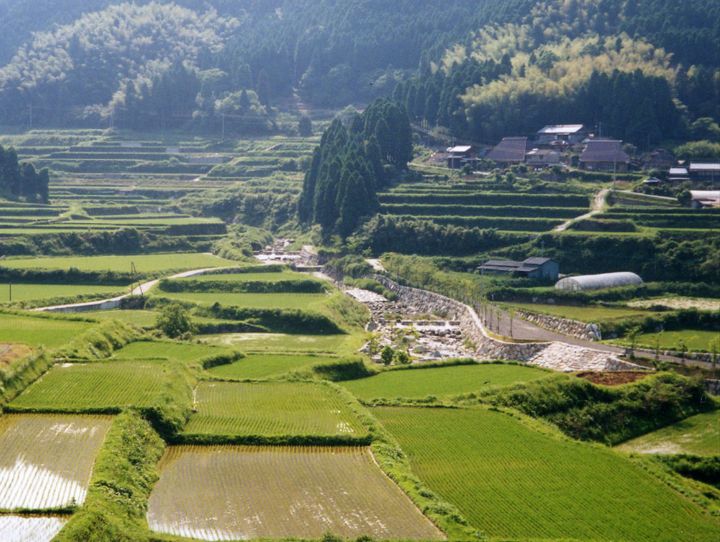 佐賀市