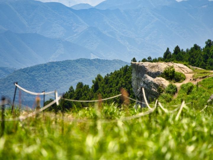 紀美野町