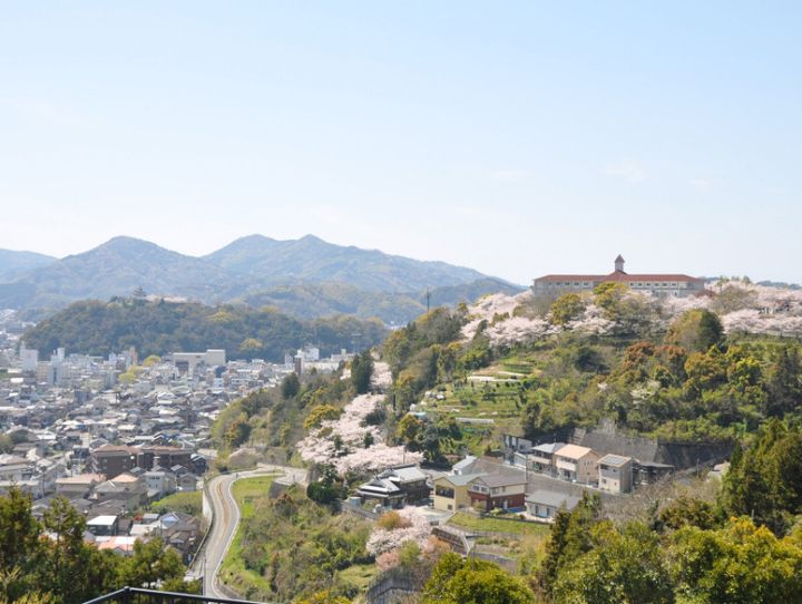 宇和島市
