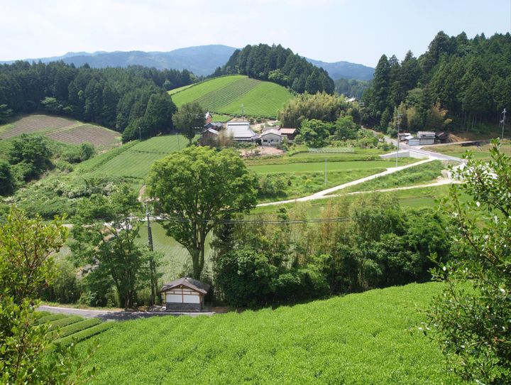 奈良市