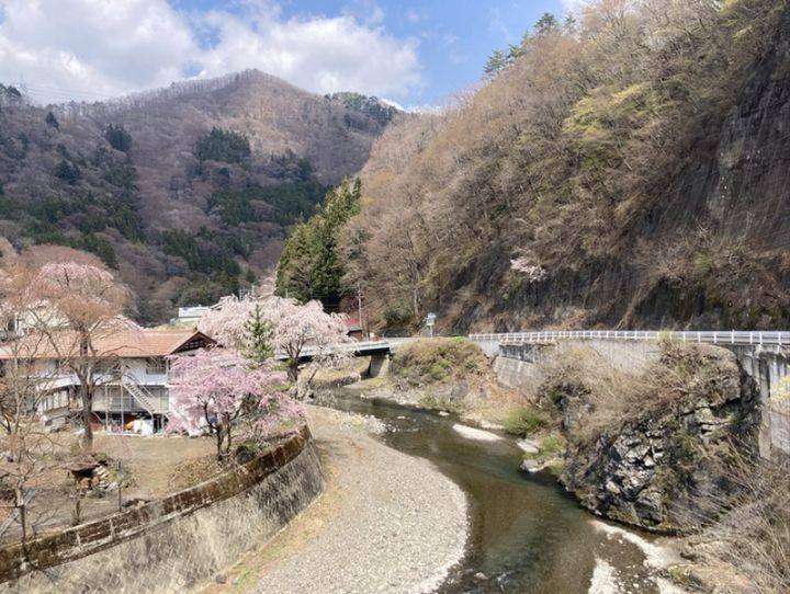 上野村