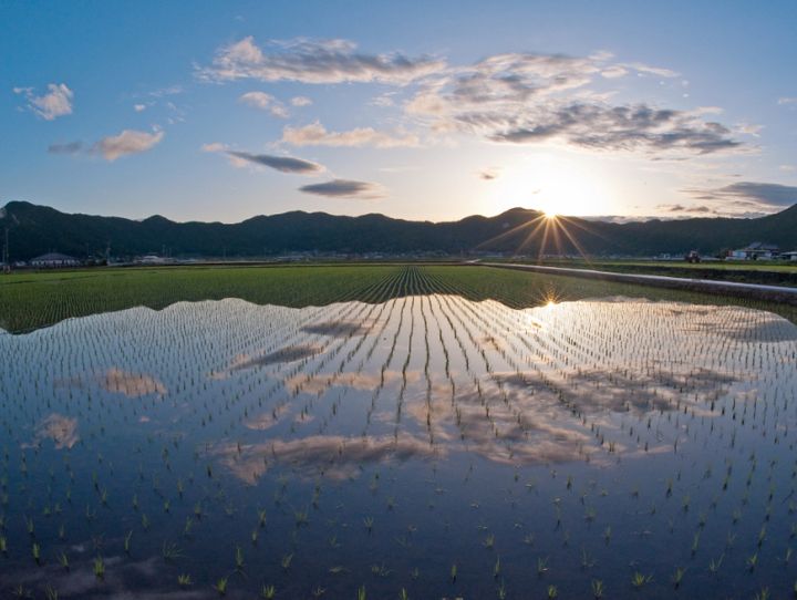 愛媛県全体