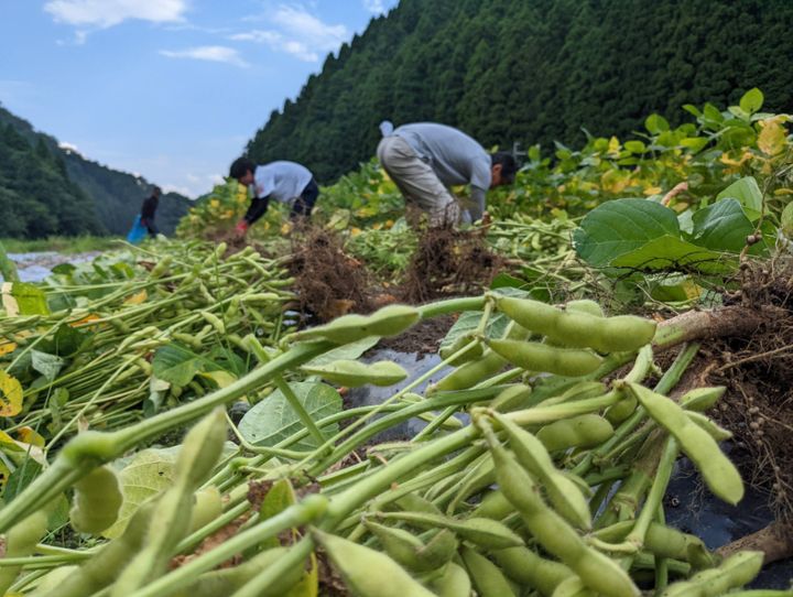 兵庫県全体