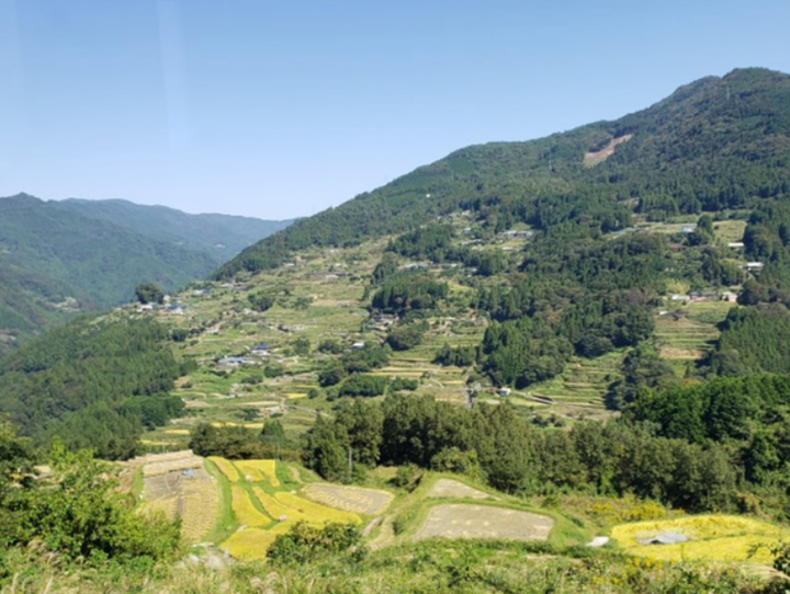 高知県全体