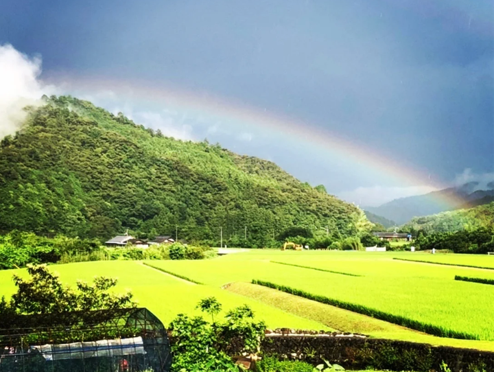 松野町