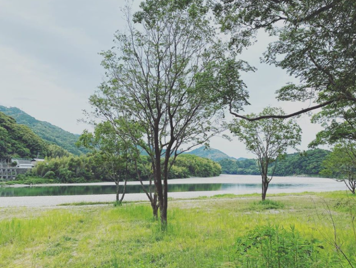 日高村
