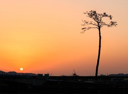 岩手県全体