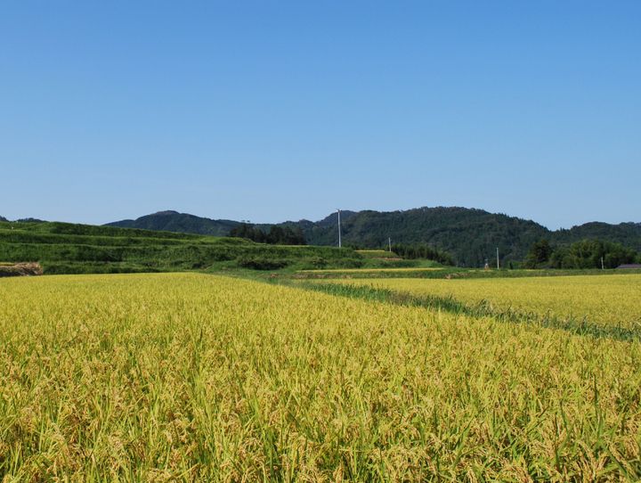 日南町