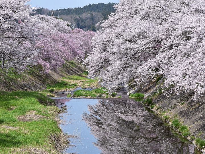 福島県全体