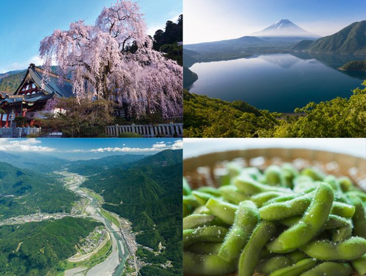 身延町