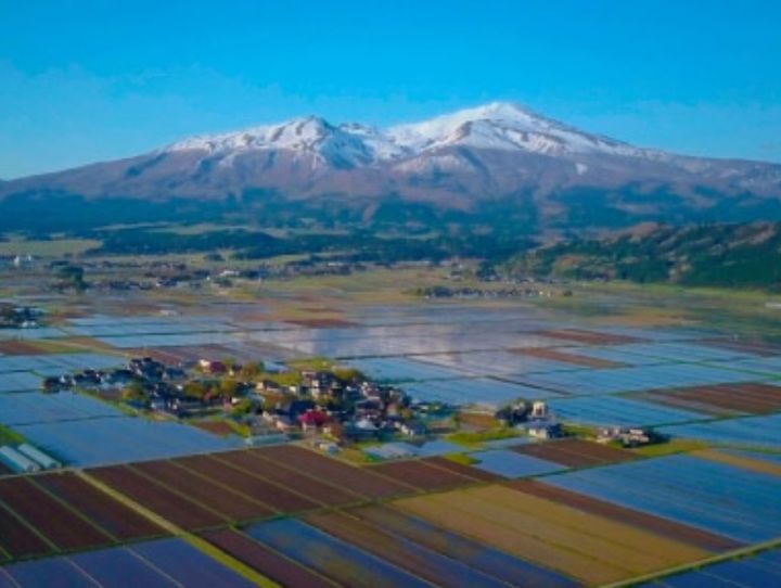 酒田市