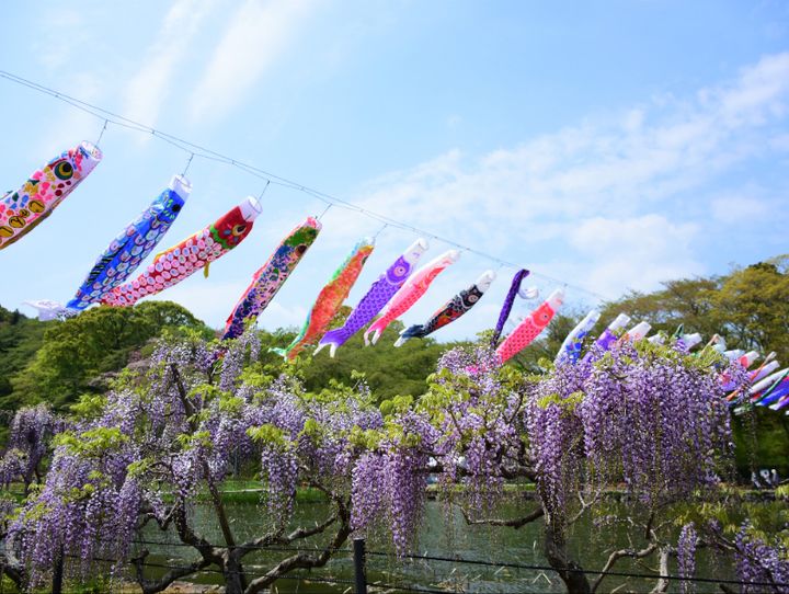 藤枝市